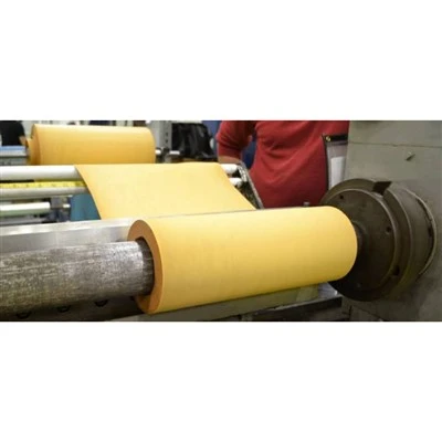 Ptfe sichqonli film